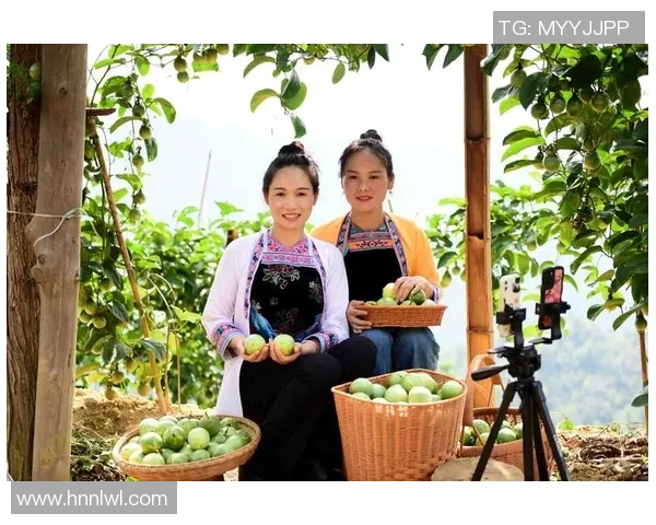 贵州六台直播助力地方文化传播与经济发展新机遇